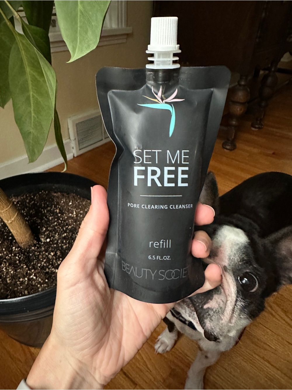 BeautySociety Set Me Free Pore Clearing Cleanser Refill - Black - Picture 2 of 2